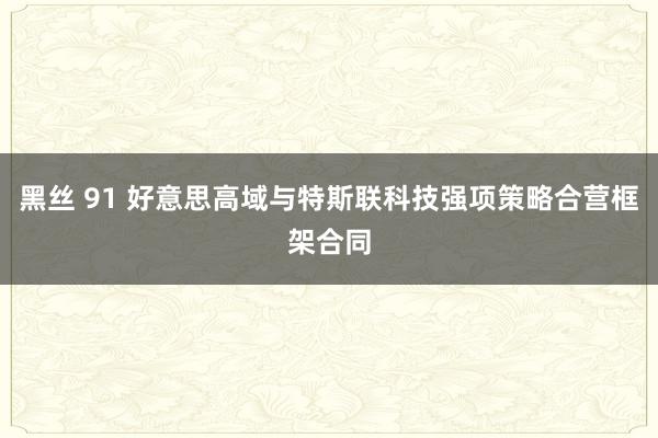 黑丝 91 好意思高域与特斯联科技强项策略合营框架合同