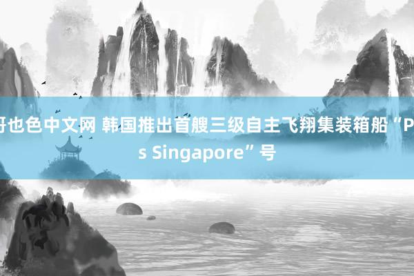 哥也色中文网 韩国推出首艘三级自主飞翔集装箱船“Pos Singapore”号