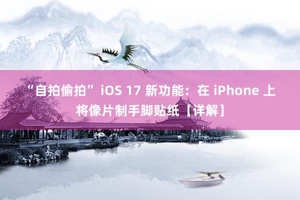 “自拍偷拍” iOS 17 新功能：在 iPhone 上将像片制手脚贴纸【详解】