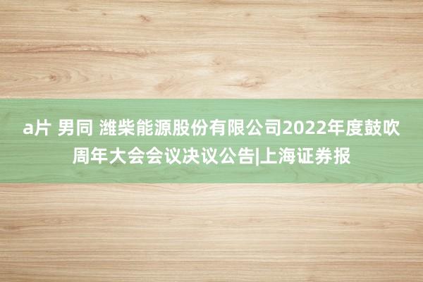 a片 男同 潍柴能源股份有限公司2022年度鼓吹周年大会会议决议公告|上海证券报